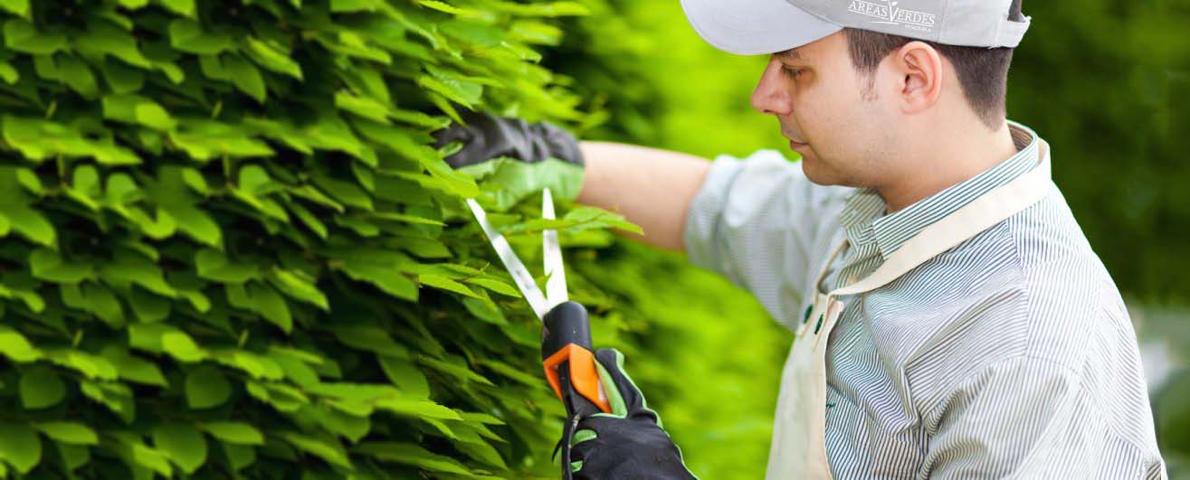 Personal de Áreas Verdes ejecutando mantenimiento corporativo