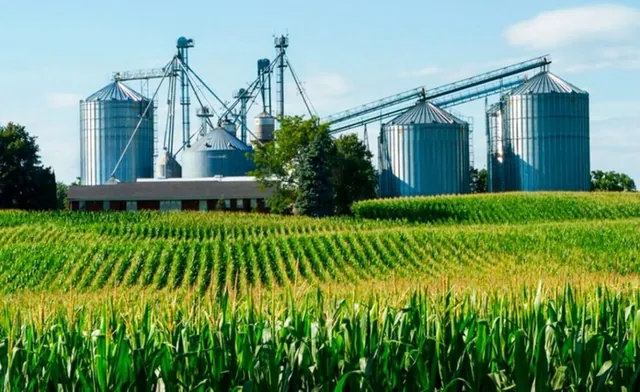 Silos de almacenamiento, plantas de procesamiento y campos agrícolas para el sector agroindustrial y de alimentos en Venezuela